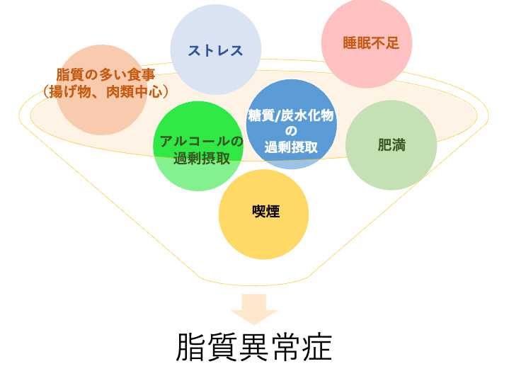 脂質異常症の原因と背景にあるもの